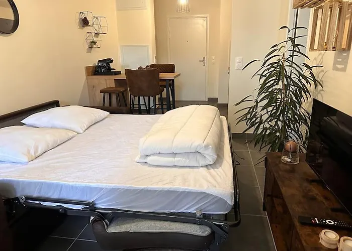 公寓 A 600m De La - Le Cosy - *